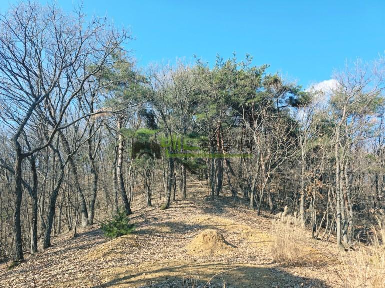 용인시 처인구 이동읍 묘봉리  매매 이동읍 497평 묘자리매매 가 39,760만원 | 10032 사진 2