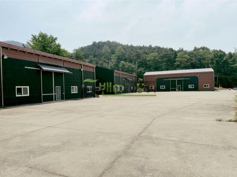 안성시 금석동