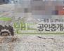평택시 서탄면 마두리 기타 월세 평택야적장임대 나대지임대 보증금 10,000/월세 1,000만원 | 10811 썸네일 3