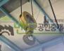 평택시 포승읍 도곡리 공장 월세 평택공장임대 100평 보증금 2,400/월세 240만원 | 11064 썸네일 3